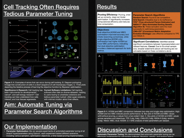 masters dissertation